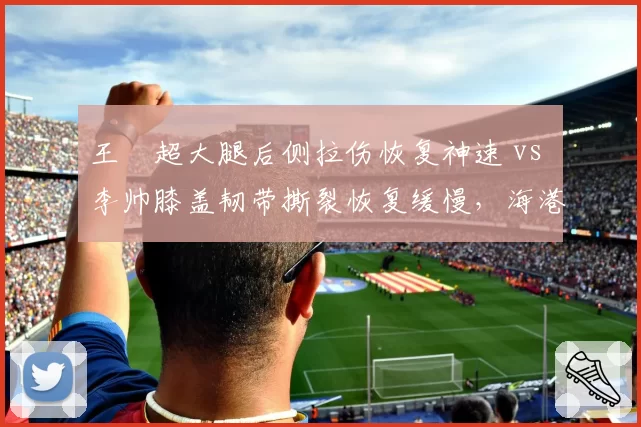 王燊超大腿后侧拉伤恢复神速 vs 李帅膝盖韧带撕裂恢复缓慢,海港左后卫康复进度对比